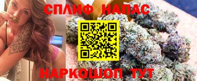 a pvp Ставрополь